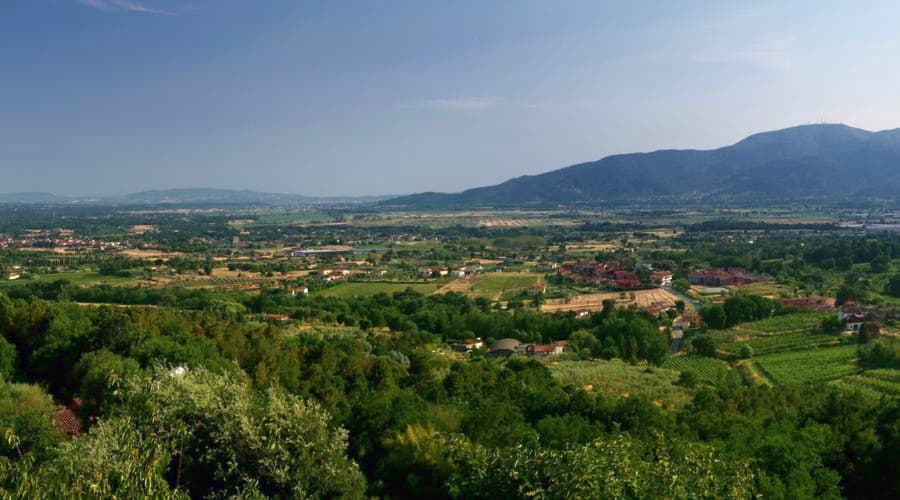 ¿Cuáles son las opciones de vehículos más populares en Montecarlo?